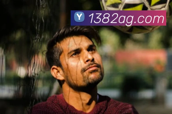 奖项证书